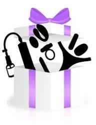 Mystery Toy Kit – Spécial Couples